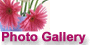 photo.gif (3386 bytes)